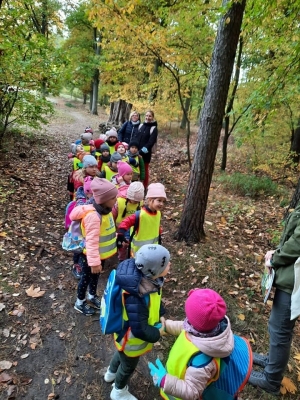Spacer dzieci po lesie