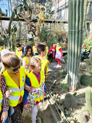 Dzieci w Palmiarni oglądają rośliny.