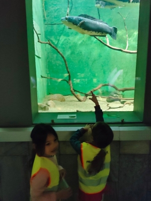 Dzieci w Palmiarni oglądają ryby.
