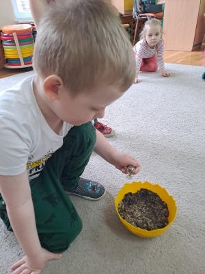 Chłopiec sadzi nasionka kwiatków dla pszczół.