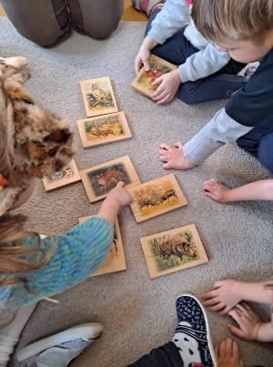 Dzieci oglądają obrazki zwierząt leśnych.