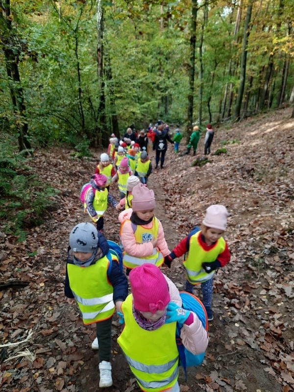 Dzieci idą na spacerpo lesie
